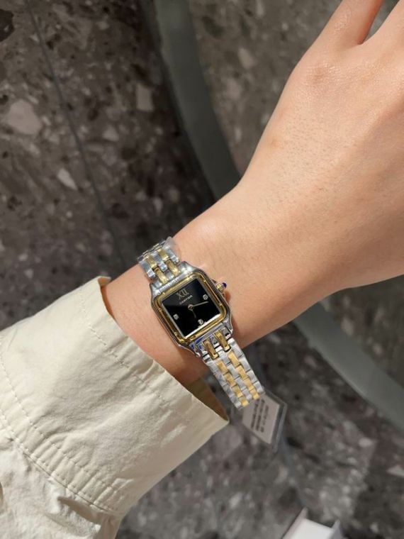 Picture of Cartier Watches Women Santos De Cartier _SKU1812cartier-27x37mm-22x30mm-0609152904